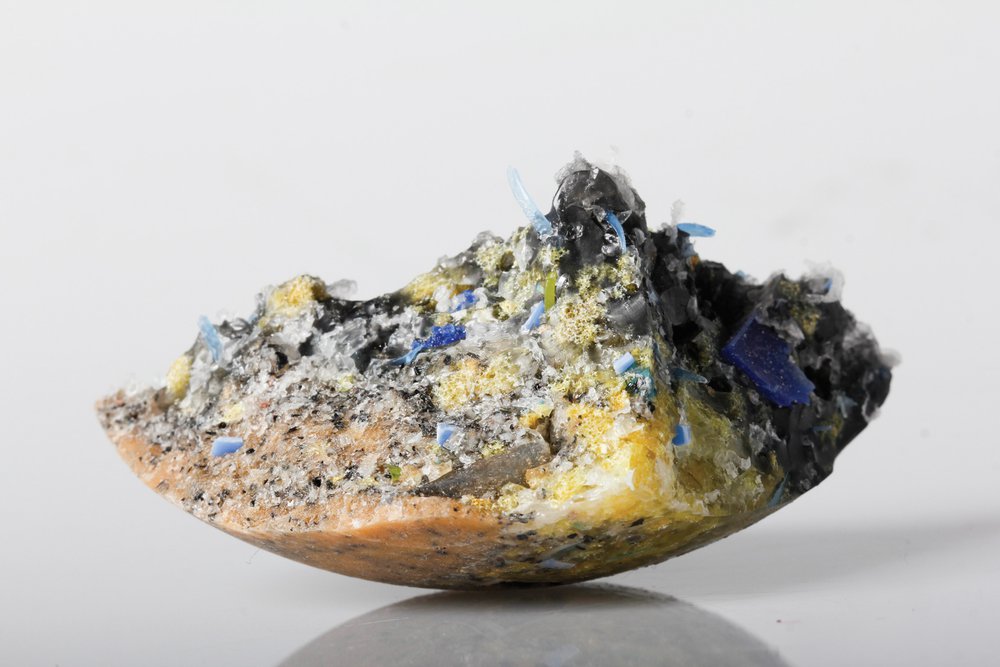The Anthropogenic Specimen Cabinet | Yesenia Thibault-Picazo | yeseniatp.com