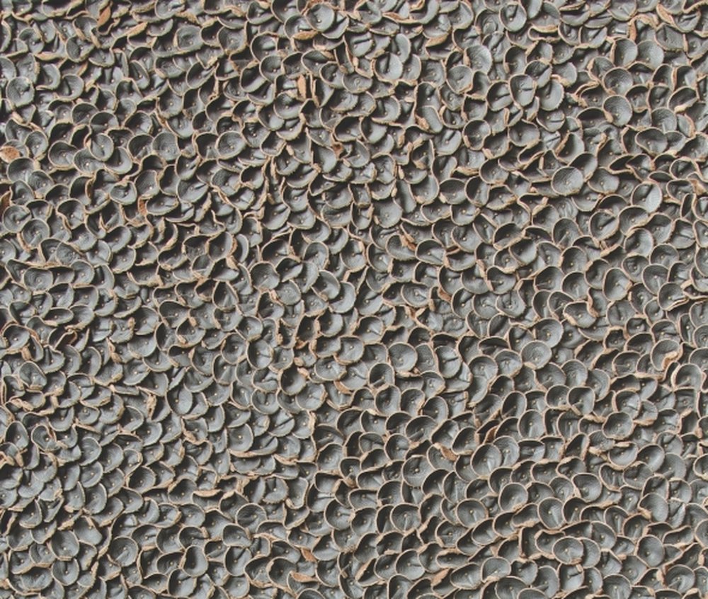 7b15ecd0765aeec1fd108d8001d4b92d40b38ff8.jpg