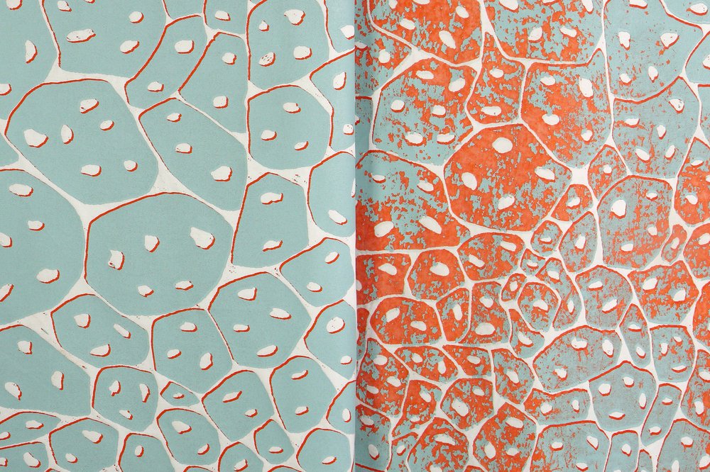 Frequent laundry (copyright Cox Janssens)